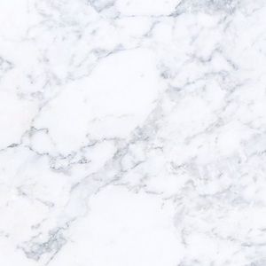 Meet your Posher, Shirley